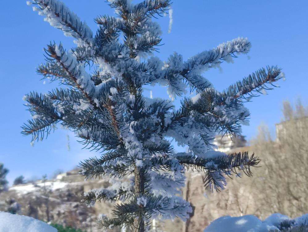 Sibirya soğuğu bir ilimizi dondurdu! Arabalar çalışmadı, kilitler dondu 5